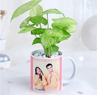 Personalised Plants For Anniversary